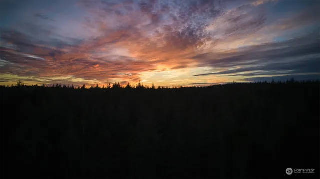 $12,500 | 10217 Eckenstam Johnson Road, Anderson Island, WA 98303