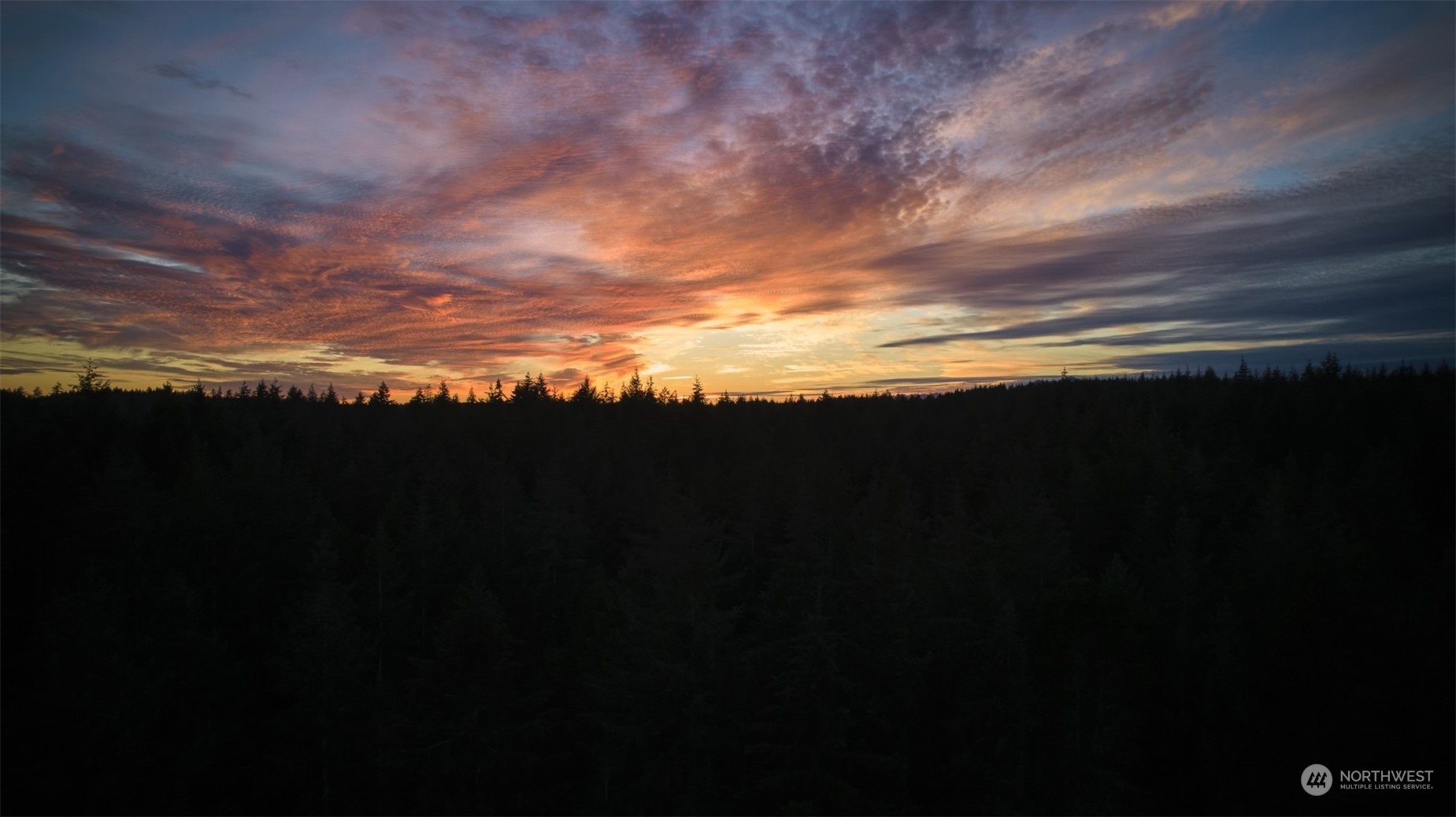 10217 Eckenstam Johnson Road Anderson Island, WA 98303 - Photo 11 of 11