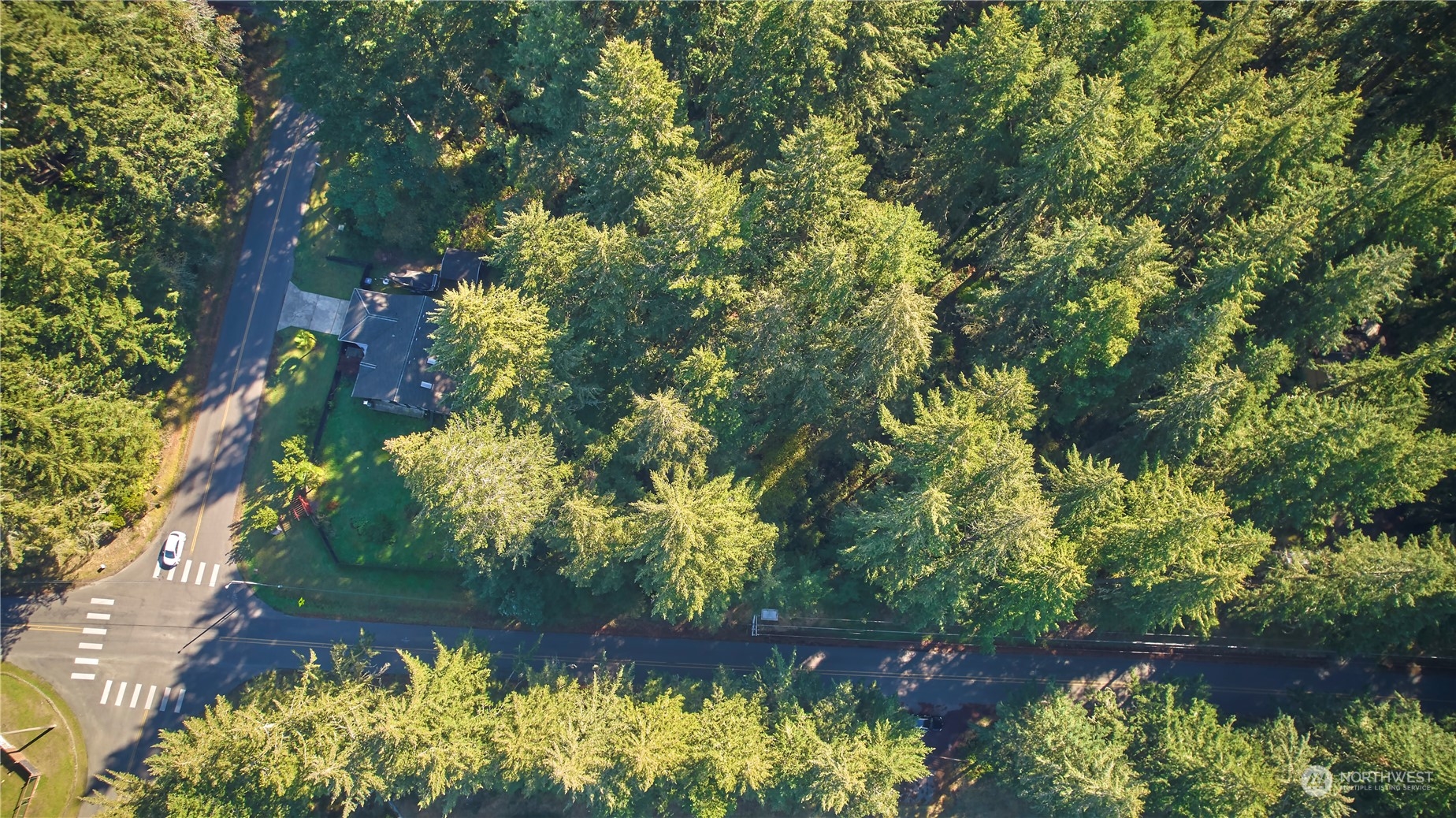 10217 Eckenstam Johnson Road Anderson Island, WA 98303 - Photo 3 of 11