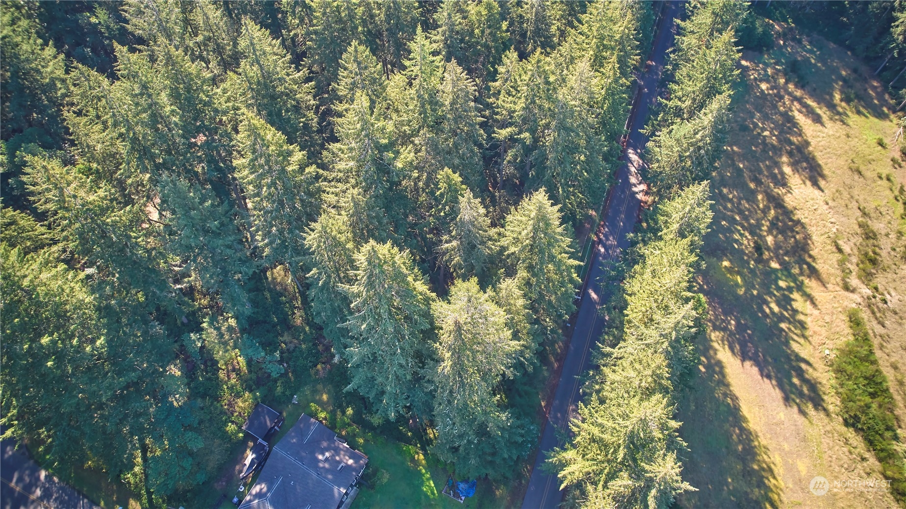 10217 Eckenstam Johnson Road Anderson Island, WA 98303 - Photo 5 of 11