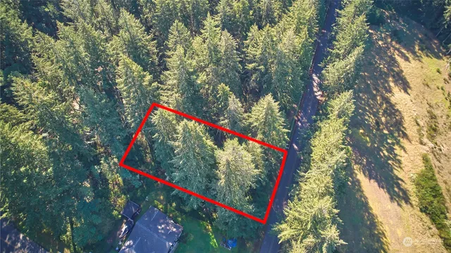 $12,500 | 10217 Eckenstam Johnson Road, Anderson Island, WA 98303