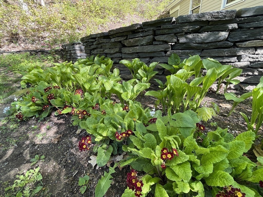 238 Warwick Road Northfield, MA 01360 - Photo 39 of 41 Gallery Image 39