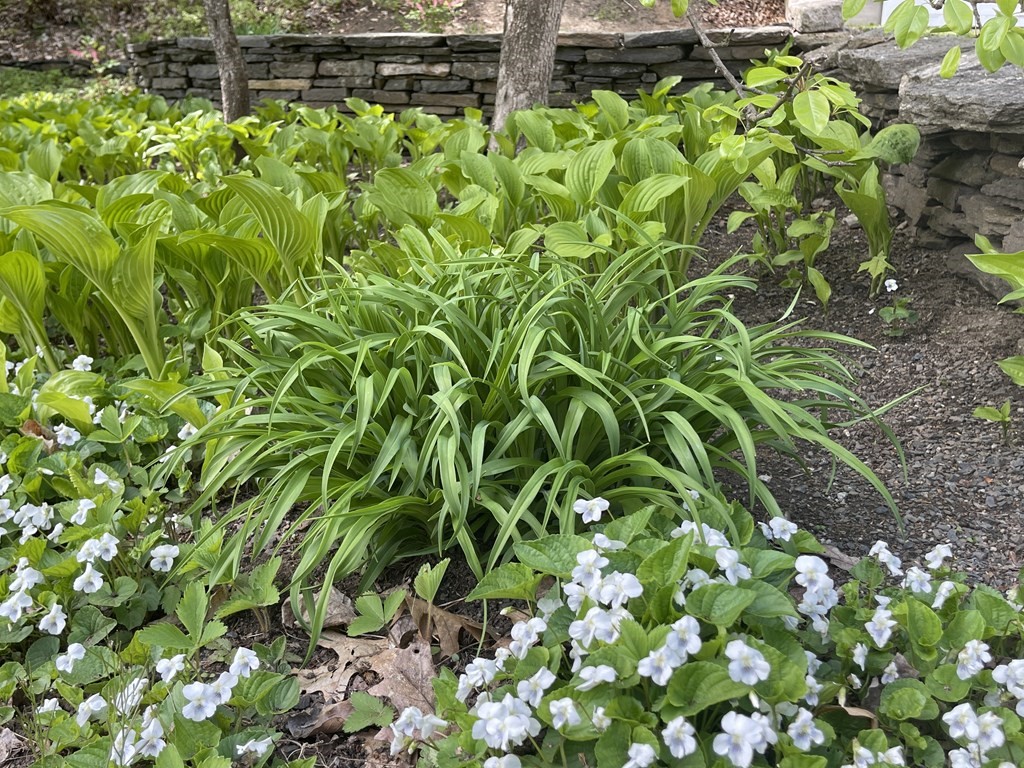 238 Warwick Road Northfield, MA 01360 - Photo 41 of 41 Gallery Image 41