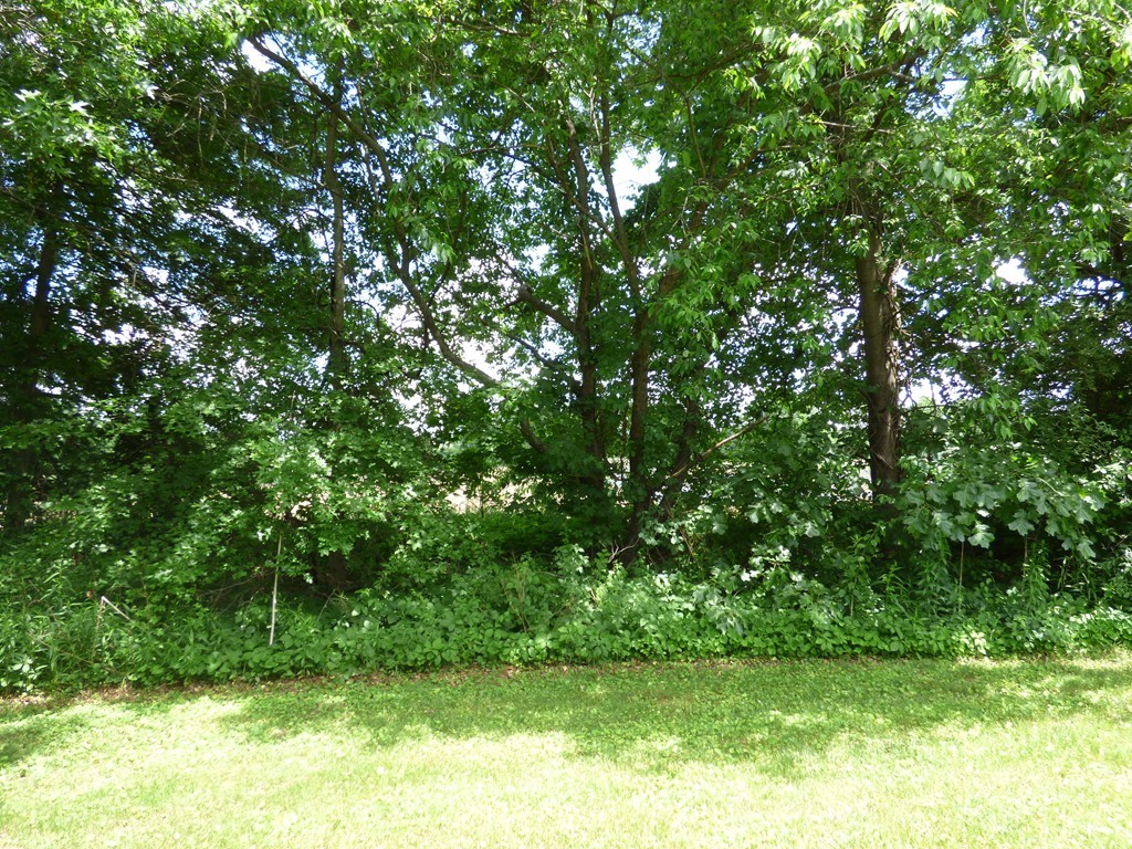 10 Hawley Road Hadley, MA 01035 - Photo 17 of 18 Gallery Image 17