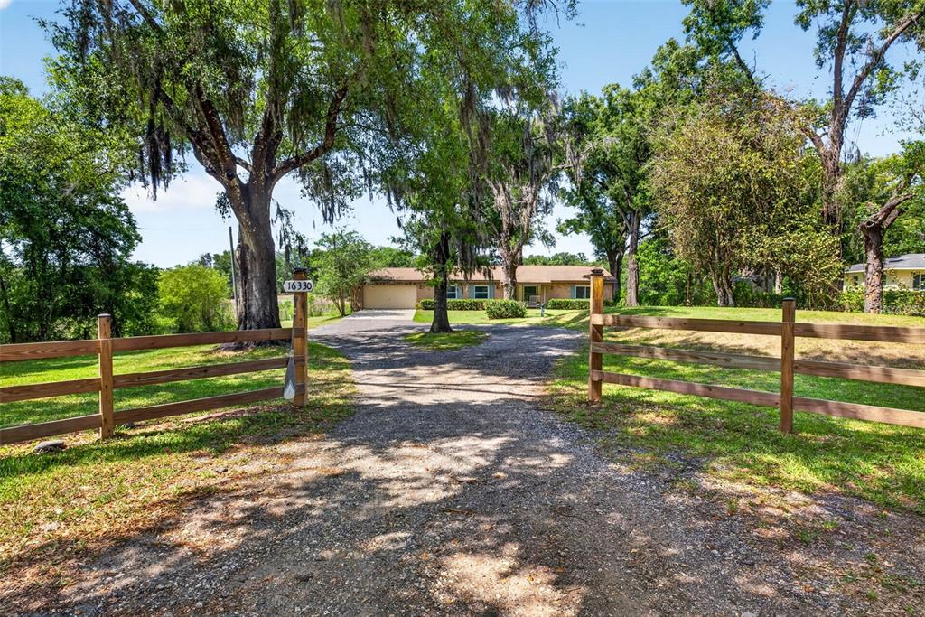 16330 Hanna Road Lutz, FL 33549 - Photo 5 of 41 a view of a park with large trees