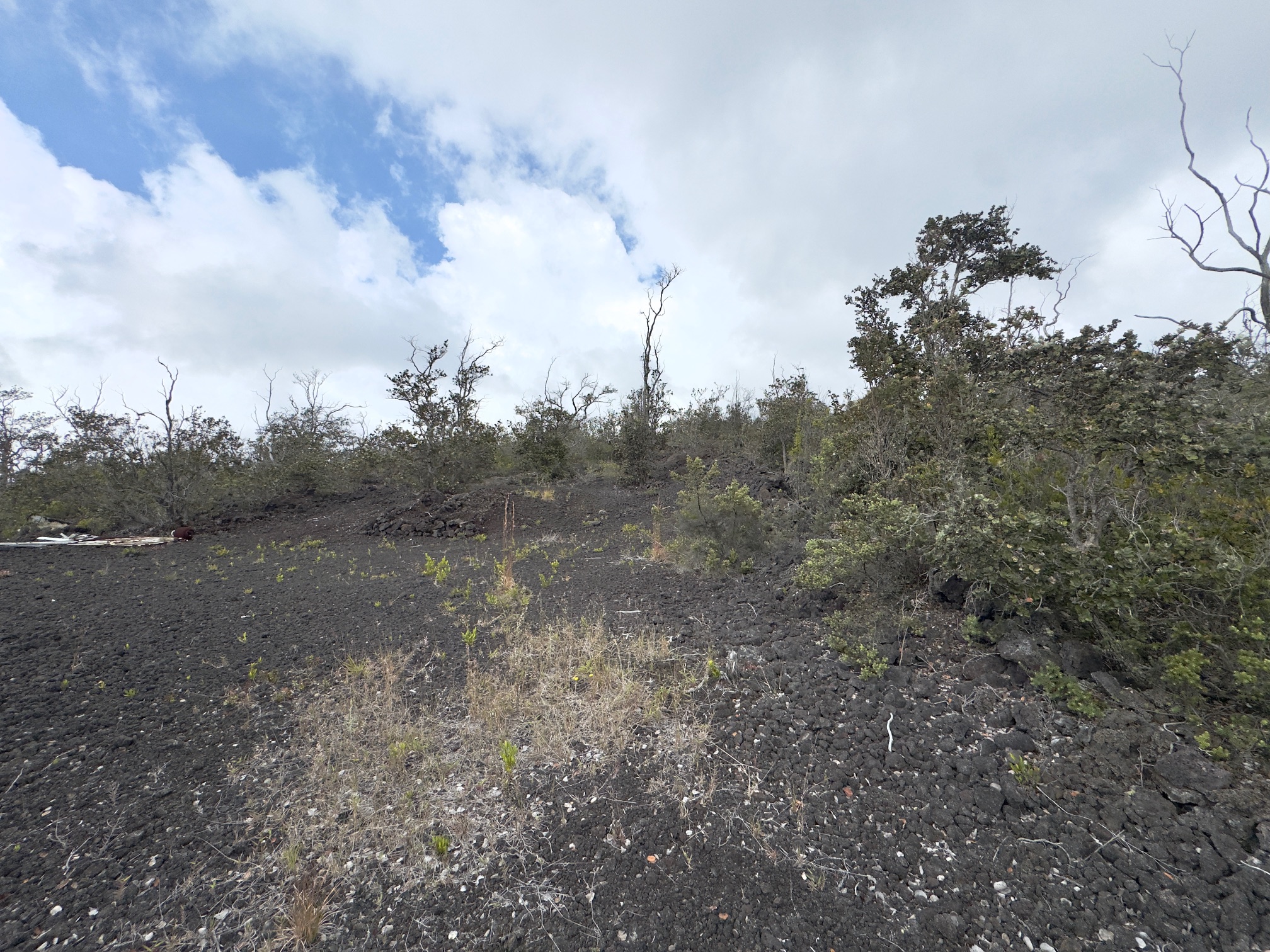 13 Reef Circle Ocean View, HI 96704 - Photo 2 of 10 a view of a field