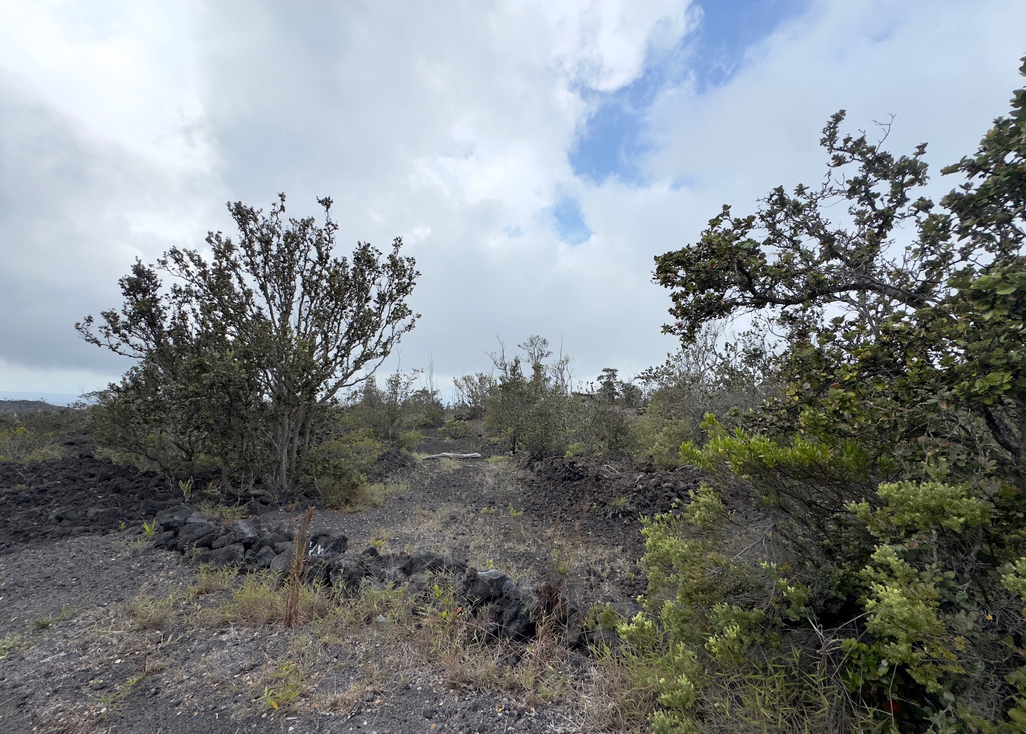 13 Reef Circle Ocean View, HI 96704 - Photo 3 of 10 a view of a field with trees in the background
