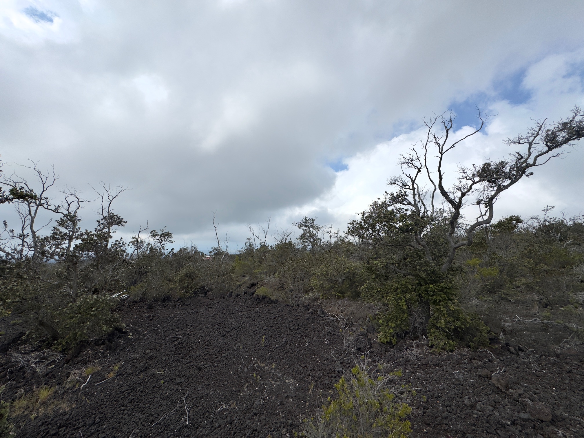 13 Reef Circle Ocean View, HI 96704 - Photo 4 of 10 a view of a field