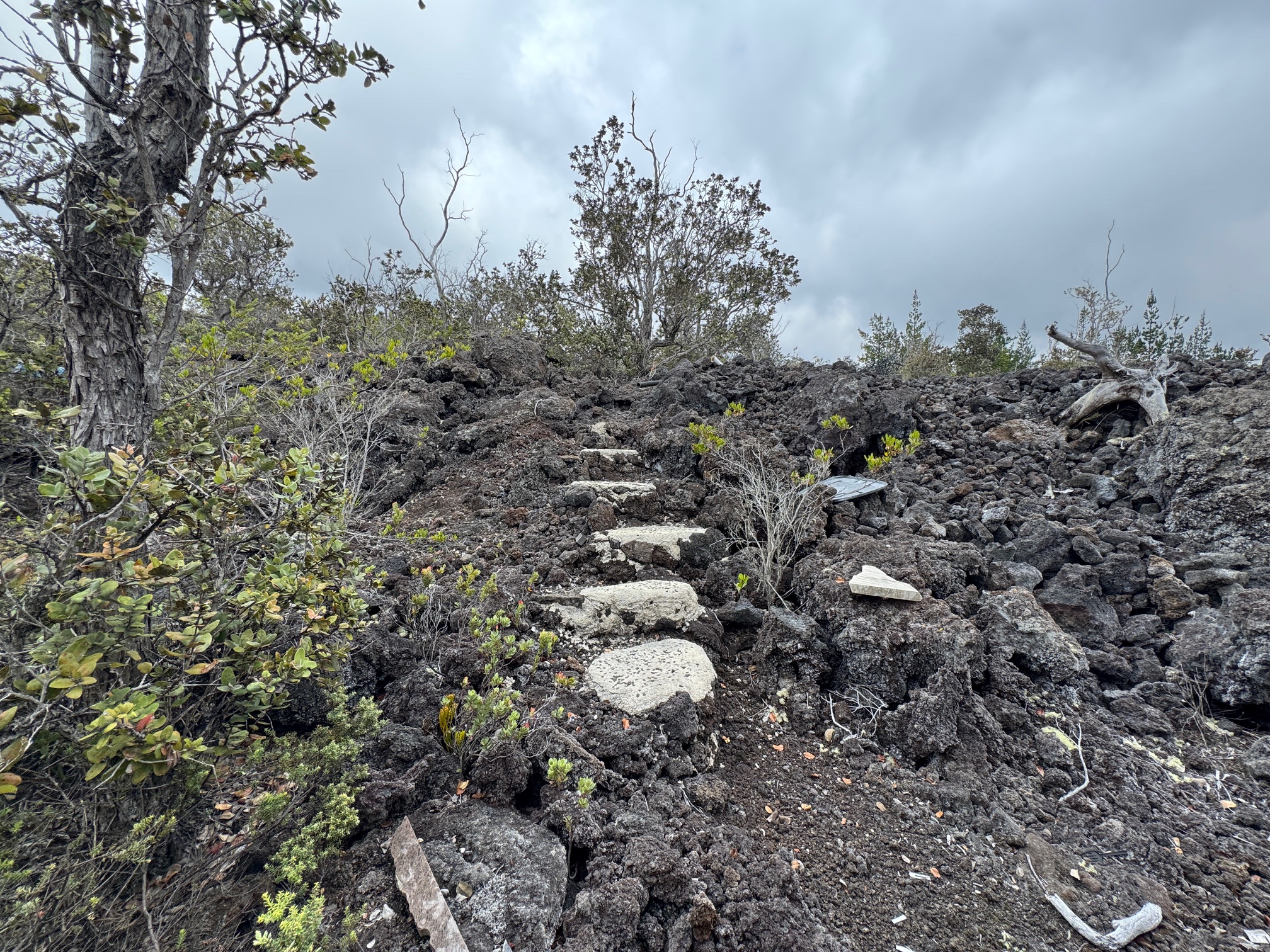 13 Reef Circle Ocean View, HI 96704 - Photo 5 of 10 a view of a bunch of trees