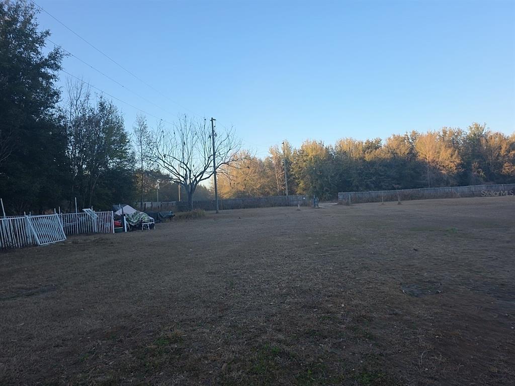 31244 Tyndall Road Zephyrhills, FL 33545 - Photo 15 of 24 a view of dirt field with trees
