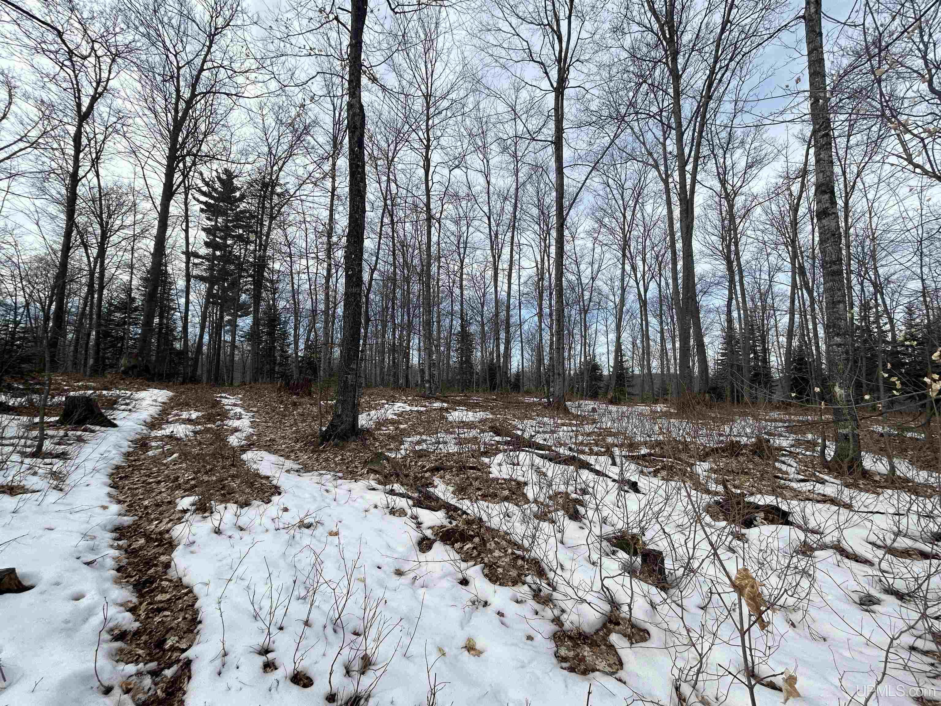 1 B Bridgeview Lane Negaunee, MI 49866 - Photo 11 of 18