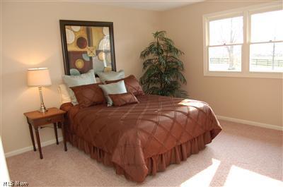 7840 Ferguson Road Kent, OH 44240 - Photo 17 of 25 3rd Master suite on 2nd level.