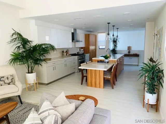 a living room with furniture and a potted plant