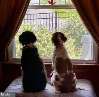 $420,000 | 5506 Jefferson Pike, Frederick, MD 21703