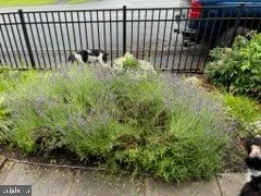 $420,000 | 5506 Jefferson Pike, Frederick, MD 21703