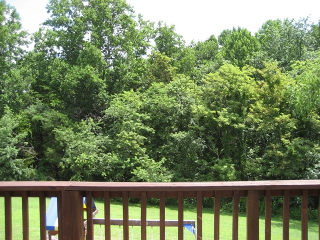 160 Highfield Road Rocky Mount, VA 24151 - Photo 11 of 39 View from Back Deck