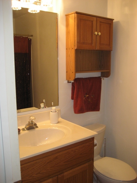 160 Highfield Road Rocky Mount, VA 24151 - Photo 27 of 39 Bath 2