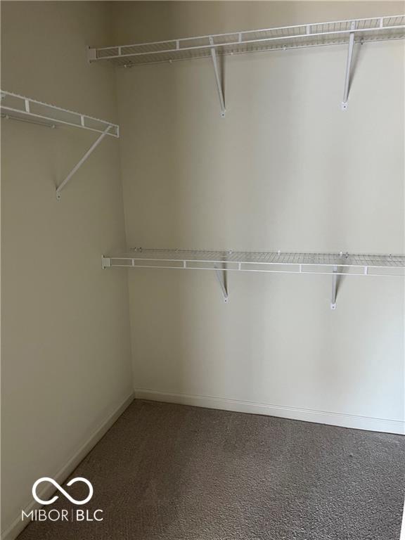 13517 Dewpoint Lane Fishers, IN 46037 - Photo 15 of 23