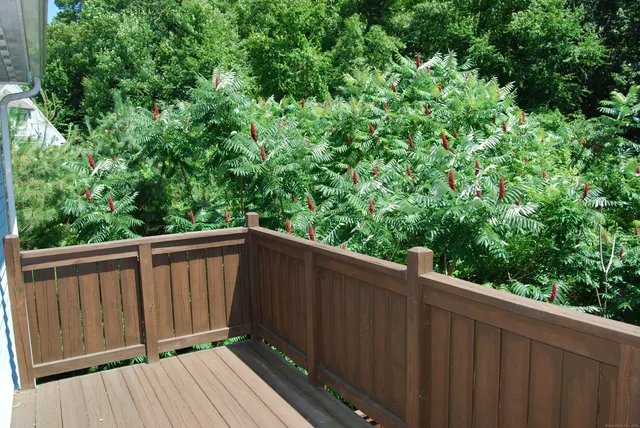 a balcony with wooden floor and yard in the back