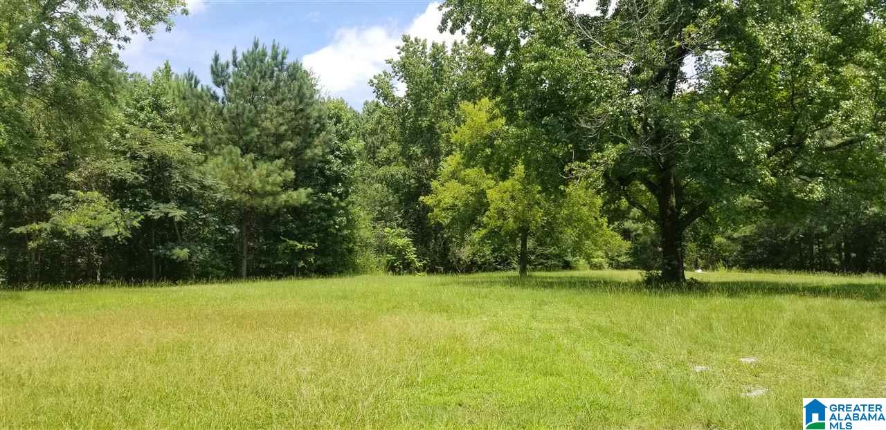173 Beagle Club Road, Unit 1 2 Empire, AL 35063 - Photo 1 of 20