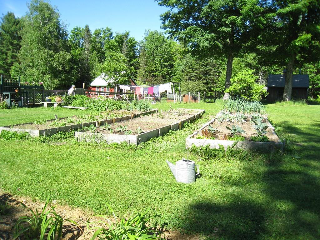 146 North Dixmont Road Troy, ME 04987 - Photo 27 of 31 Raised beds produce lots of fresh...