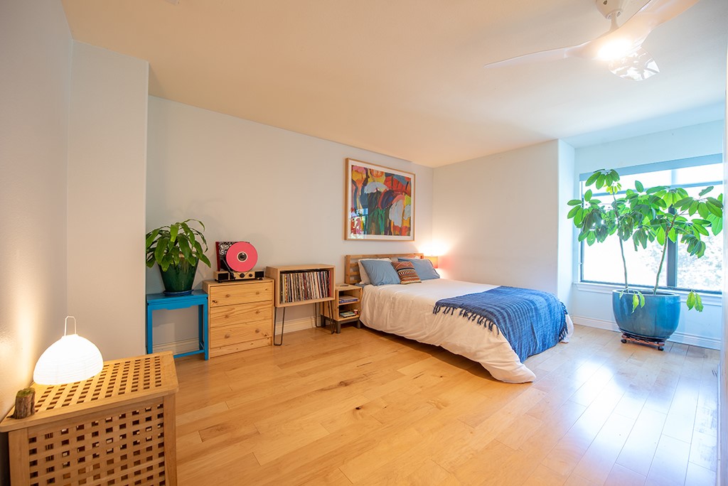 3609 Clawson Road, Unit A Austin, TX 78704 - Photo 8 of 17 Hardwood floors and a large window bring warmth and light to this tranquil bedroom space.