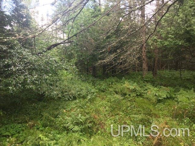 1810 Iron Lake Road Iron River, MI 49935 - Photo 20 of 32