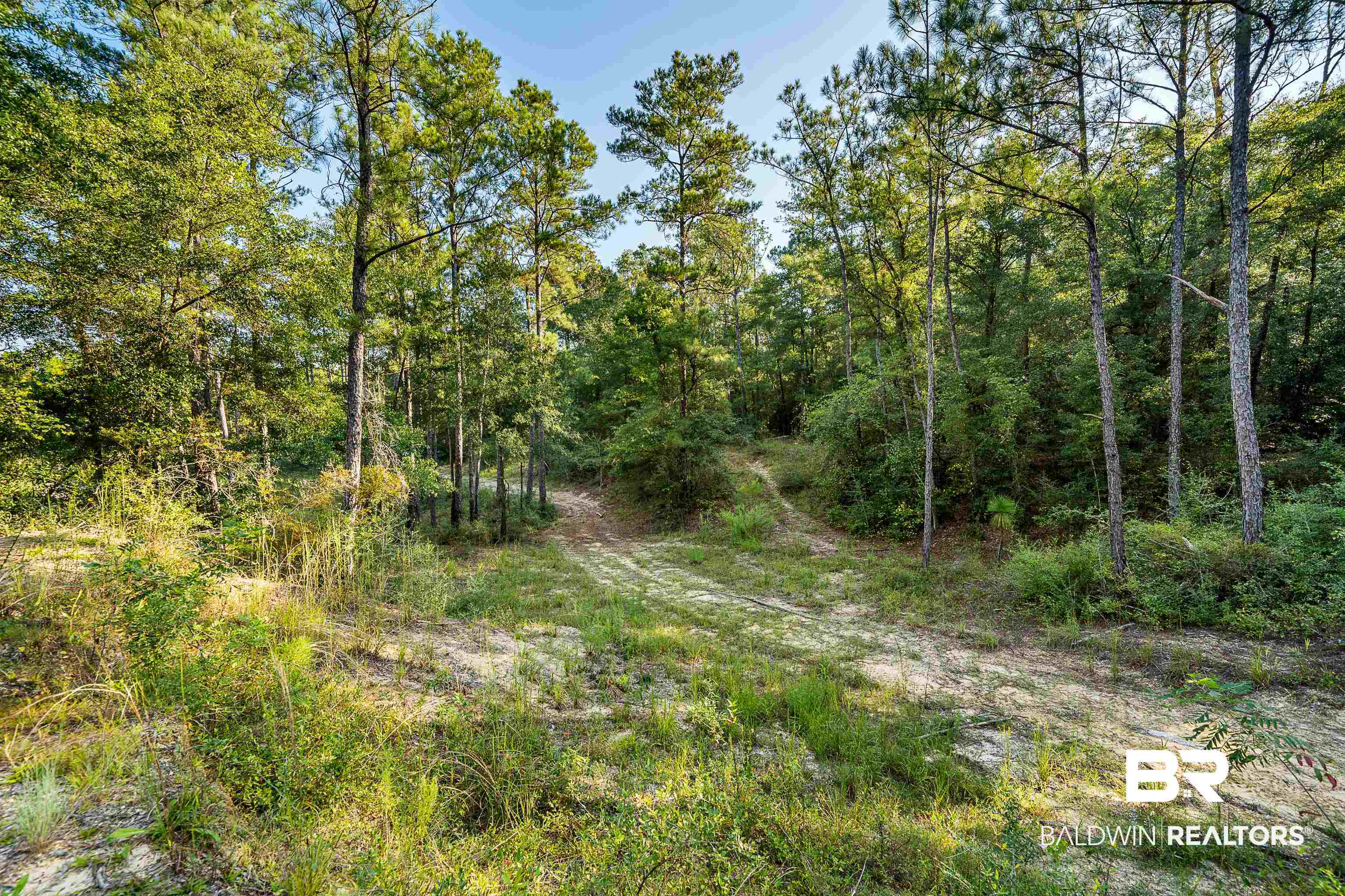 8190 Dixon Road Bay Minette, AL 36507 - Photo 8 of 13