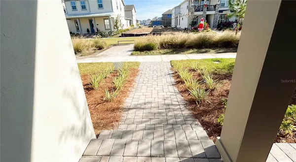 a view of living room with a couch and a potted plant