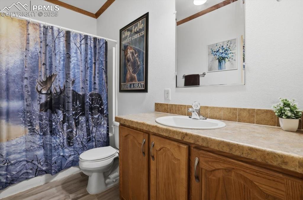 204 Crooked Creek Road Fairplay, CO 80440 - Photo 19 of 50 a bathroom with a granite countertop sink and a toilet