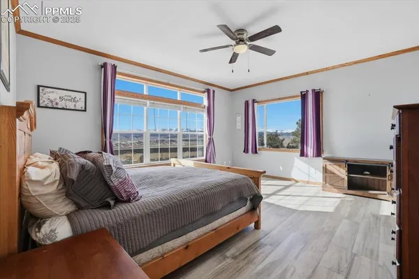 a view of a city from a yard