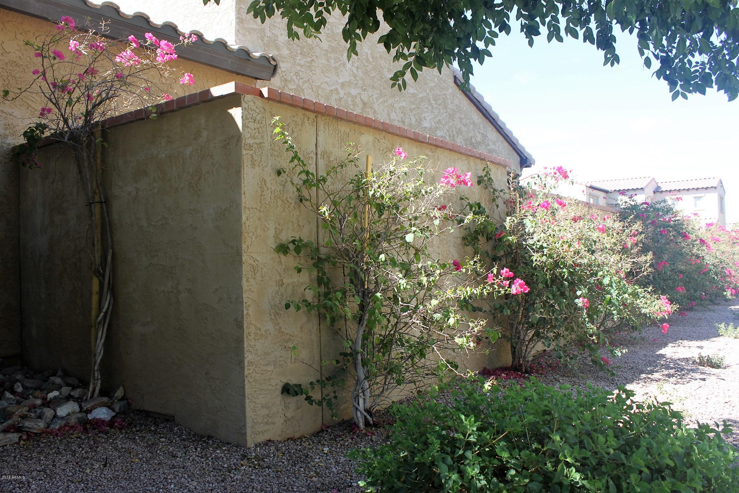 3006 North Point Ridge Road Buckeye, AZ 85396 - Photo 7 of 61 Gallery Image 7