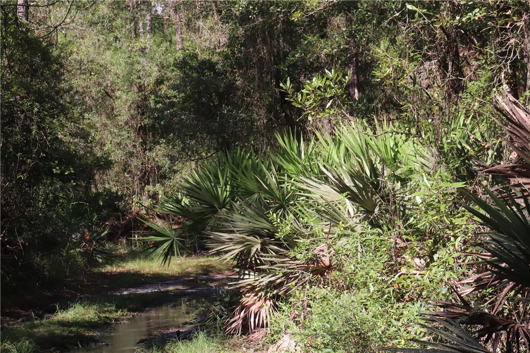 Mentoria Road Yulee, FL 32097 - Photo 4 of 4 Gallery Image 4