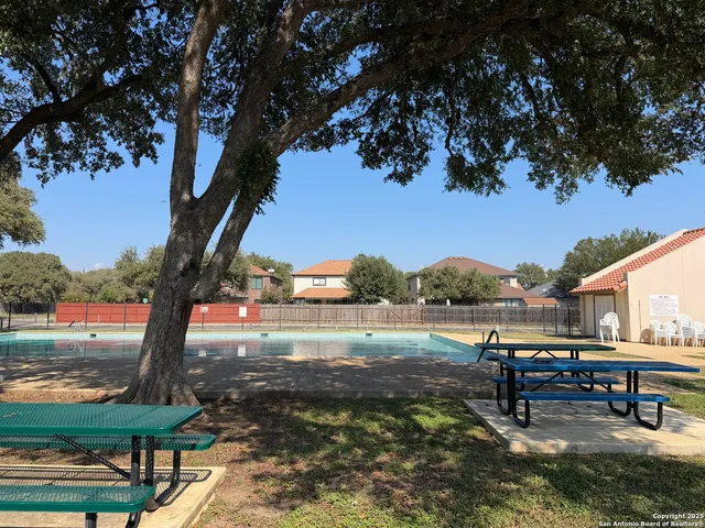 a view of a yard with trees
