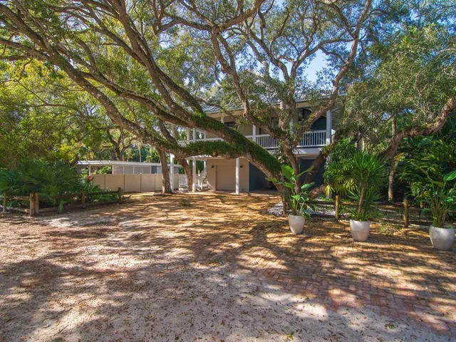 a tree in a yard next to a building