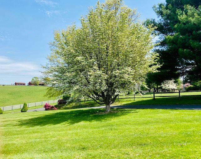 2905 Barterbrook Road Staunton, VA 24401 - Photo 30 of 33 a view of a golf course with a lake