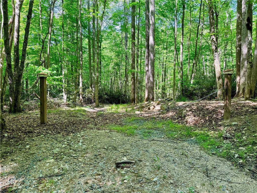 Lot 5 Buckeye Ridge Road Beech Mountain, NC 28604 - Photo 4 of 12