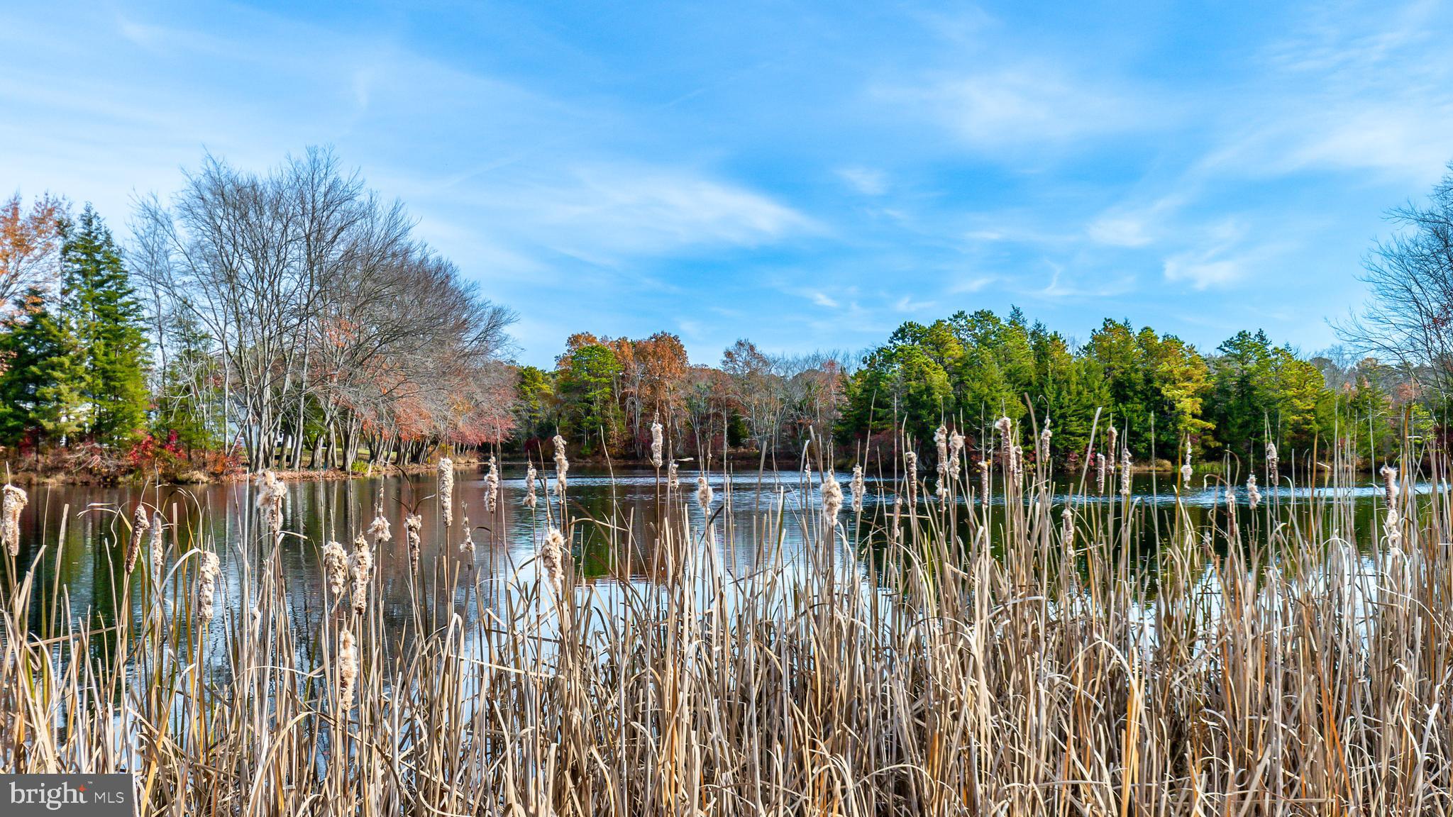13 Stagecoach Road Southampton, NJ 08088 - Photo 35 of 42 a view of a lake with trees