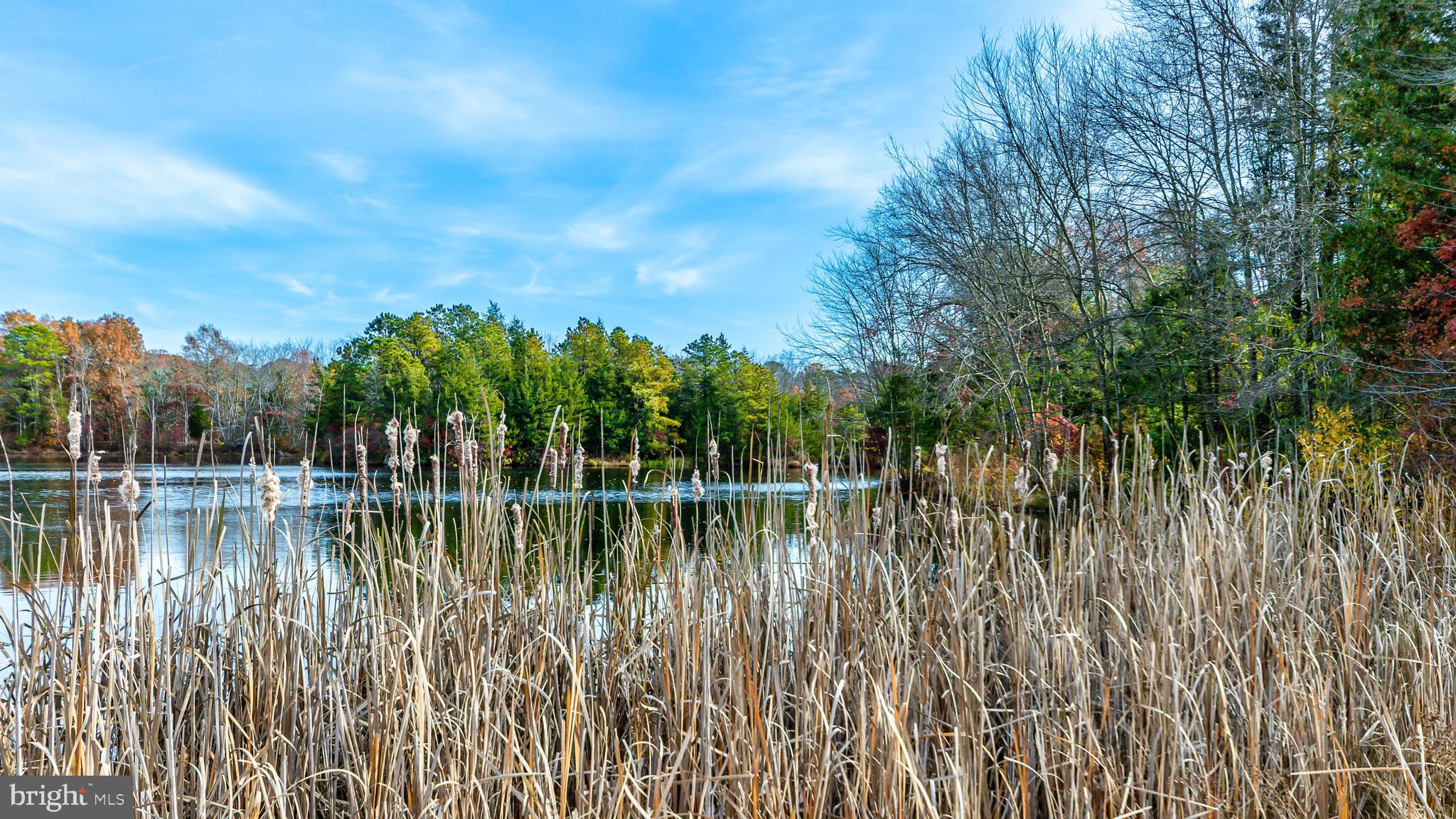 13 Stagecoach Road Southampton, NJ 08088 - Photo 36 of 42 a view of a lake with trees in the background