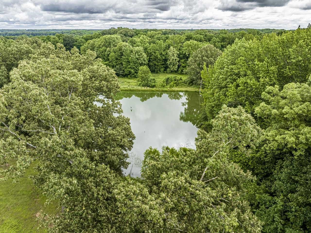 516 Egypt Road Munford, TN 38058 - Photo 11 of 40 a view of a garden with a bench