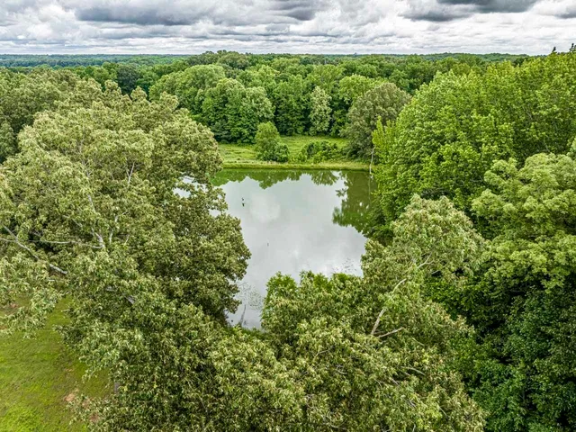 a view of a garden with a bench