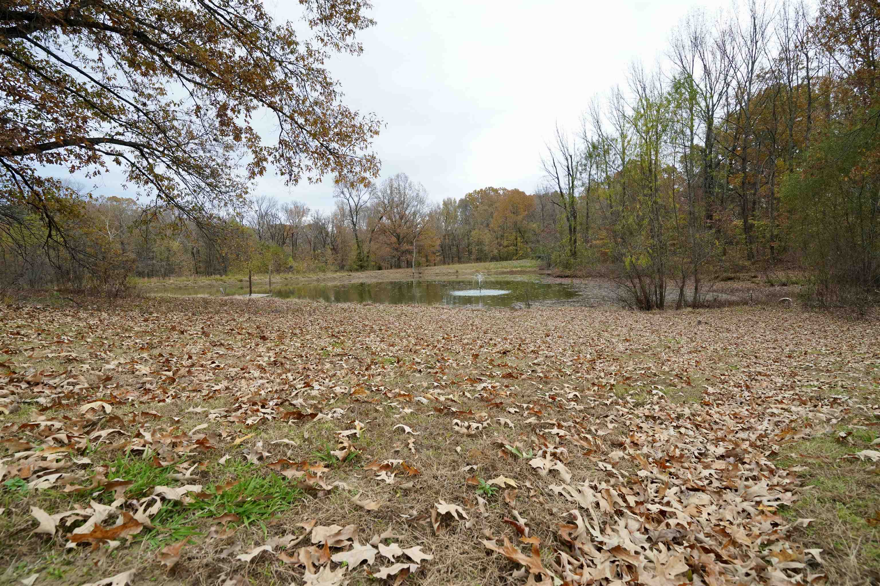 516 Egypt Road Munford, TN 38058 - Photo 3 of 40 a backyard of a house with lots of green space