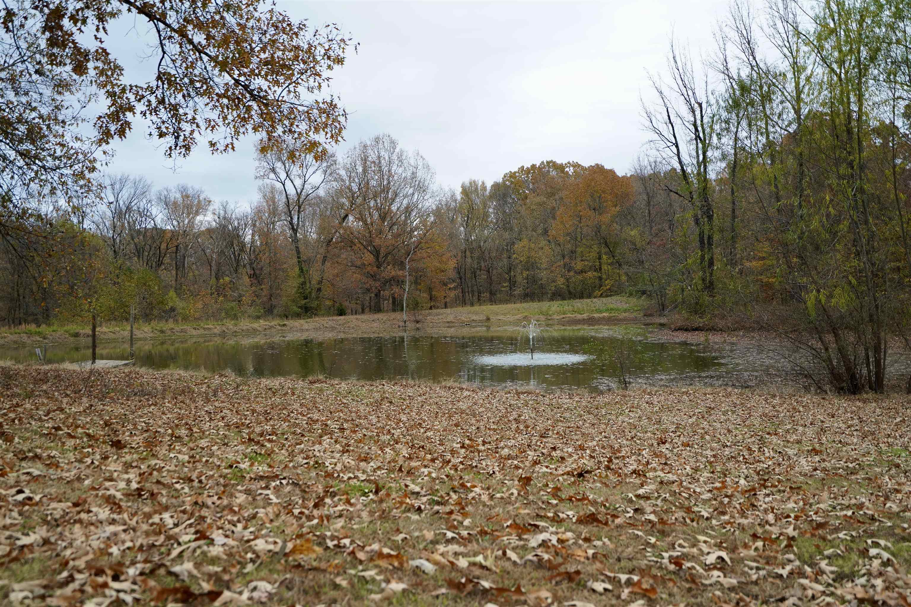 516 Egypt Road Munford, TN 38058 - Photo 4 of 40 a view of a lake with a yard