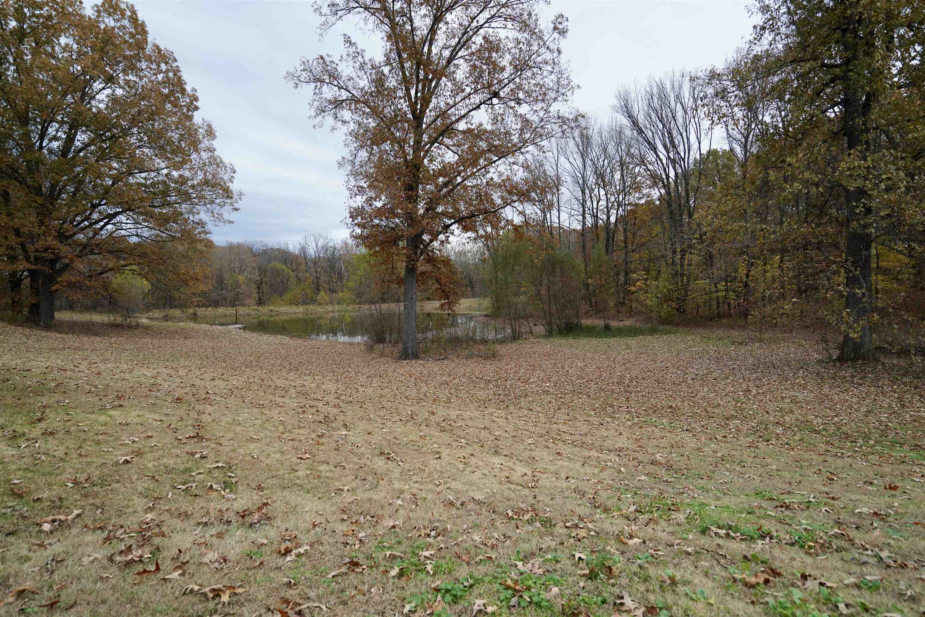 516 Egypt Road Munford, TN 38058 - Photo 5 of 40 a backyard of a house with lots of green space