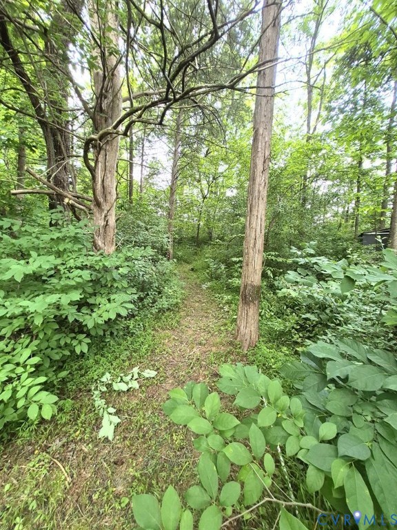 0 Falkland Road Meherrin, VA 23954 - Photo 14 of 17