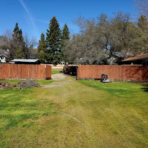 a view of a garden with large trees