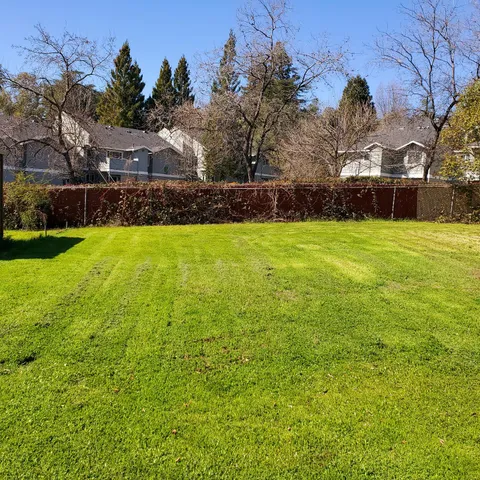 a view of a large yard with plants and large trees