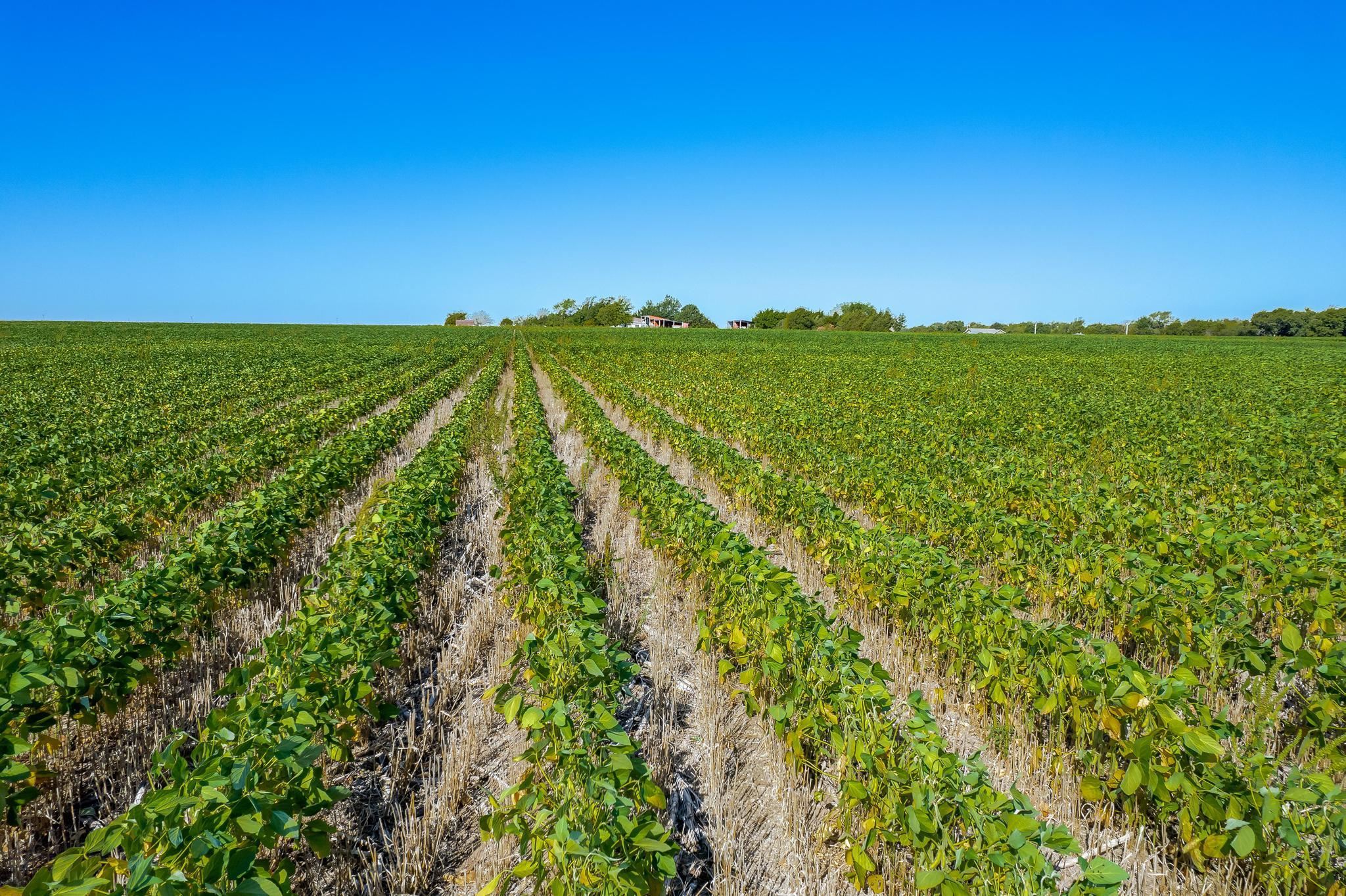 832 North Essex Heights Road Halstead, KS 67056 - Photo 36 of 36