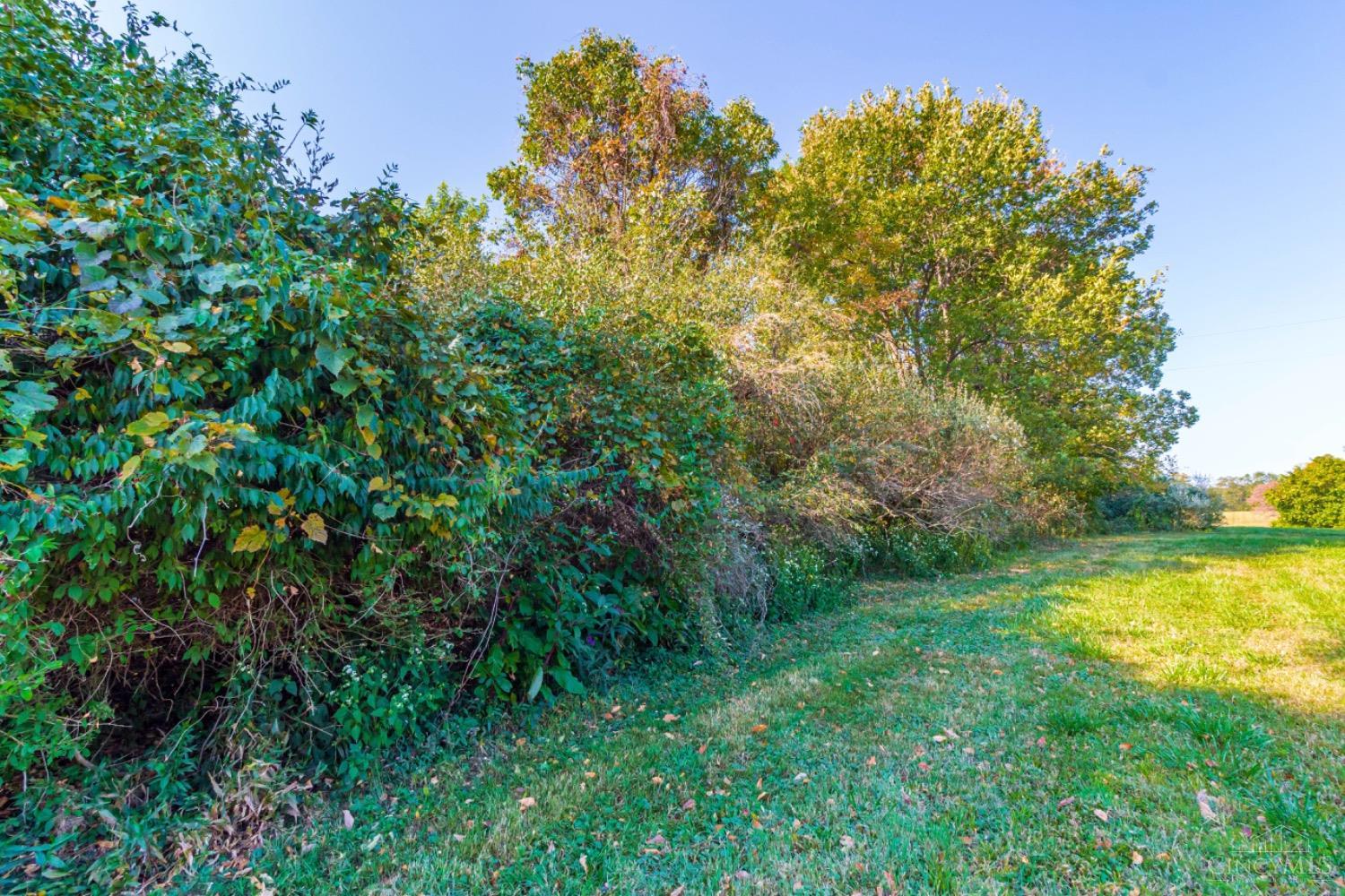 3 Chapparal Road West Union, OH 45693 - Photo 9 of 11