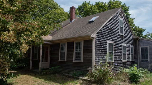 a view of house with a yard and potted plants